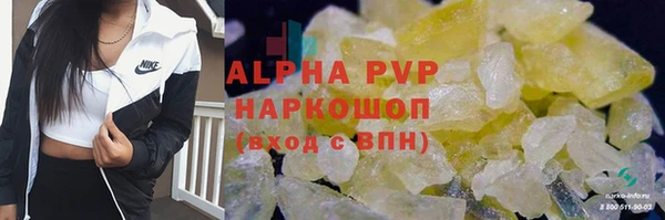 марки lsd Новозыбков