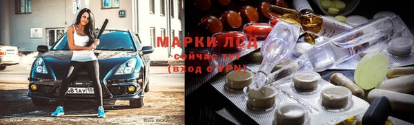 дмт Новокубанск