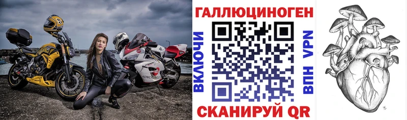Галлюциногенные грибы Psilocybine cubensis Сорск